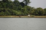 Sri Lanka Mimmo - 758